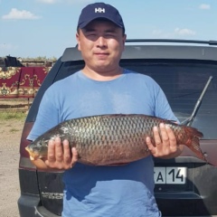 Алиаскар Аханов, 10.12, Караганда