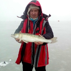 Сергей Власов, 26.07.1974, Калининград