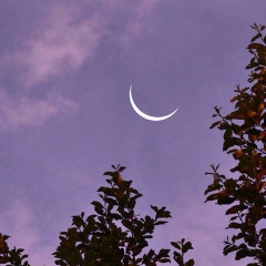 Айшолпан Ержанова, 20.02, Актау