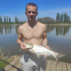 Джони Сокол, Краснодар