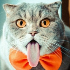 Вовка Матвеев, 24.05, Москва