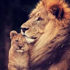 Шамиль Абдуллаев, 18.12, Махачкала