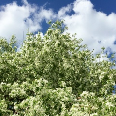 Григорий Авдеев, 24.07.1987, Москва