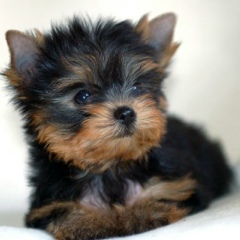 Кристина Зацарина, 10.12, Москва