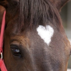 Альбина Досумова, 14.04.1987, Актобе