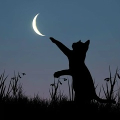 Рита Морозова, 01.04