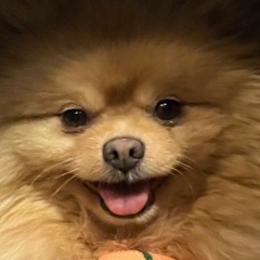 Дмитрий Шеин, 11.02, Санкт-Петербург