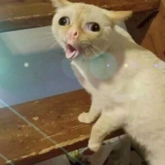 Олеся Пономарева, 15.04.2004, Нижний Ломов