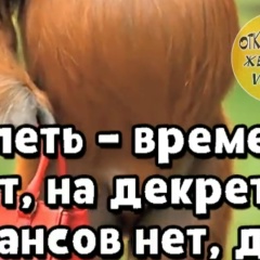 Чодураа Монгуш, 03.11, Кызыл