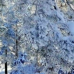 Екатерина Александрова, 28.06, Усть-Кинельский