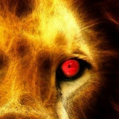 Андрей Созыков, 03.08.1984, Ibiza Nueva