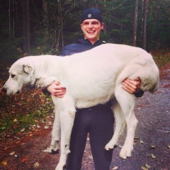 Андрей Шут, 23.05.1987, Минск