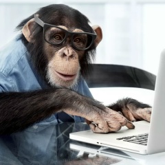 Андрей Егоров, Томск