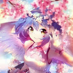 Софья Котова, 21.04