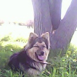 Омар Курбанов, 10.03, Волгоград