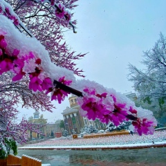 Аселя Токтомушова, 28.01