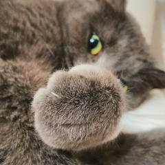 Юрий Золоско, 21.01, Калининград