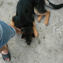 Ваня Топильский, 24.04, Ростов-на-Дону