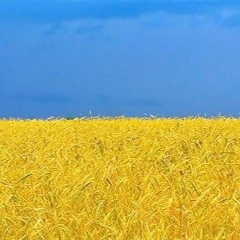 Ирина Олийнык, 16.07, Los Angeles