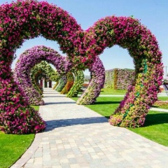 Гульжан Абдикадырова, 28.04, Алматы