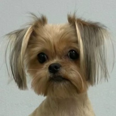 Руслан , 16.12.1978, Санкт-Петербург