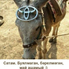 Залия Хажеева, 10.02, Учалы