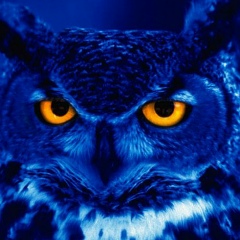 Андрей Бирюков, 26.12.1985