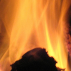 Света Вранова, 01.04.2006, Новосибирск