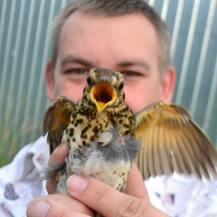 Павел Макаров, 18.02.1983, Ульяновск