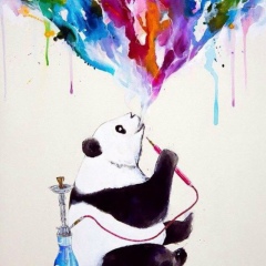 Said Toffoldiyev, 04.02.1992, Ташкент