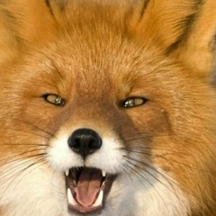 Мария , 21.02, Москва