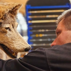 Алексей Трутнев, 16.05.1991