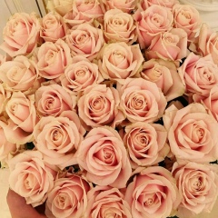 Nailya Aliyeva, 29.09.1993, İstanbul