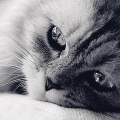 Юлия Абрамочкина, 21.05.1990, Киев