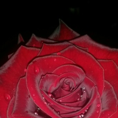 Сабира Кадырбаева, 02.02.1982, Алматы