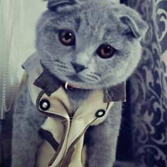 Самые-Самые Красивые-Девушки-Кавказа, 30.06, Москва