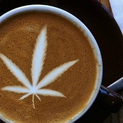 Эвелина Перфилова, Москва