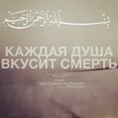 Алихан Тангиев, 23.02, Москва
