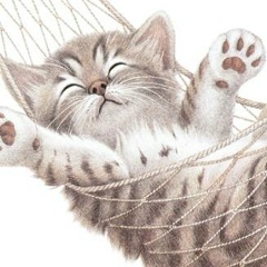 Светлана Лукошкина, Нижний Новгород