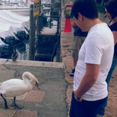 Александр Шепелев, 01.11, Нижняя Тура