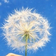 Irina Kazantseva, 13.05, Санкт-Петербург