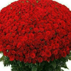 Апал Алтымышова, 05.04