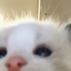 Ирина Архипова, 04.09, Балашиха