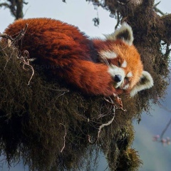 Анна Тупицына, 10.04.1985, Жуковский