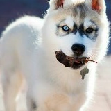 Татьяна Ефимова, 30.04.1980, Москва