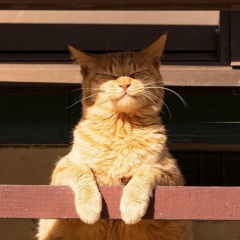 Дмитрий Шилов, 06.11, Пермь