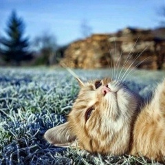 Дмитрий Володькин, 05.08, Топки