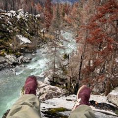 Андрей Стихарев