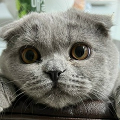 Сергей Сергеев, 05.08, Los Angeles