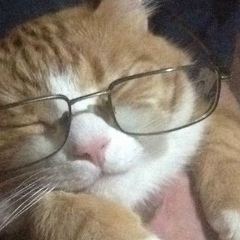 Игорь Плещенков, 17.07.1962